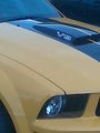 US- CARTREFFEN 48460019