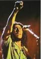 Bob Marley 31151718