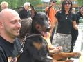 Dobermann-Weltmeisterschaft 38824450