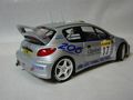 Peigeot 206 WRC Monte Carlo 2000 55150177