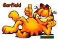 Garfield 31906398