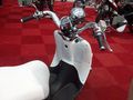 Motorrad - messe 2010  LINZ   71508719