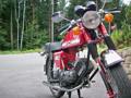 Meine Puch+Motocross 31239357