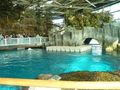 Shedd Aquarium  41343812