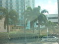 FT Lauderdale bis nach Miami 41375604