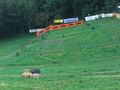 MX Weekend Oberndorf 2009 64827047