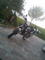 Ds woa amoi mei Moped 58326982