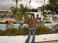 Tenerife->urlaub ->2008 49418566