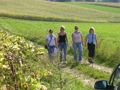 Familien Wandertag 31558293