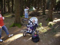 Familien Wandertag 31615331