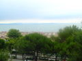 LiGnAno 2008 41924868