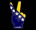 bosna is the best 32090106