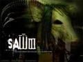 SAW 31998028