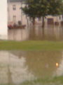 Hochwasser bei uns im bez. Melk 62148087