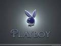 Playboy!!! 31721844