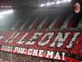 Ac Milan Fan 33365679