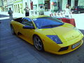 Cavalli Sportivi 08 (Freistadt) 40082247