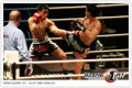 Thaiboxgala 35446714