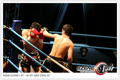 Thaiboxgala 35446763