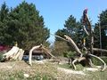 tierpark schmiding 58110681