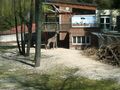 tierpark schmiding 58110686