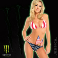 MonsterEnergy 31892992