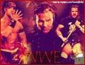 DX - WWE 35479395