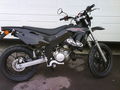 MoPeD!!! 53851335