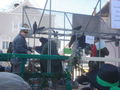 Fasching 2011 75434105
