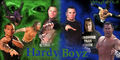 The Hardys 45582100