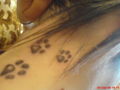 [~Meine TaTToos...=)~] 46212207