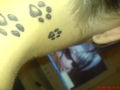 [~Meine TaTToos...=)~] 46212212