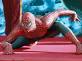 Spider-man 32071824