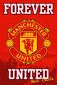 Manchester United FC 33645110