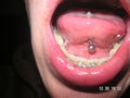 Mei drittes piercing 50824986