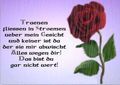 Warum Liebe so weh tut!!!!!!!!!????????? 73083033