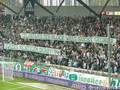 ~->SK Rapid Wien 1284744