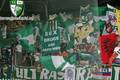 ~->SK Rapid Wien 1623848