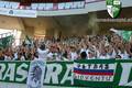 ~->SK Rapid Wien 1726374