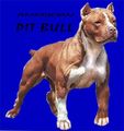 Pitbulls 55368277