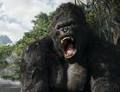 KING KONG 32598305