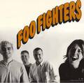 The Foo Fighters 1763263