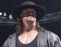 Undertaker 32256342