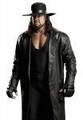 Undertaker 32256423