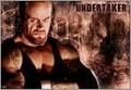 Undertaker 32256487