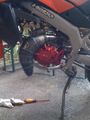 Aprilia SX50 73065505