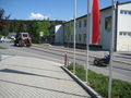 Unser Maibaum aufstön in St.Martin 37586021