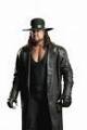 The Undertaker 34019738