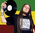 Reggae Revolution 40741447