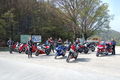 Adrenalin* 45498037